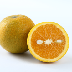 【一苇农佳】 秭归脐橙  夏橙  榨汁橙  当季新鲜水果  3斤装   孕妇水果  产地直发包邮