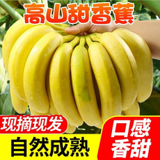 10斤实惠香蕉 高山甜香蕉新鲜现摘3/5/10斤整箱包邮自然熟当季孕妇水果 多规格可选
