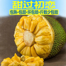 【28-32斤】超香甜三亚菠萝蜜新鲜大树木菠萝海南应当季热带水果【神农良品】