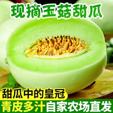 玉菇甜瓜 3/5斤绿肉香瓜哈密瓜非羊角蜜新鲜水果【小度美食】