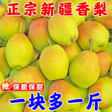水西林 源自新疆香梨新鲜水果梨子3/5/10斤脆甜薄酥梨应季红香酥批发