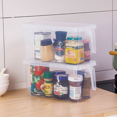 宝优妮 冰箱保鲜盒塑料密封食品收纳盒水果盒储物盒DQ9021-1（2只装）