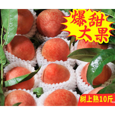现货脆桃水蜜桃孕妇水果新鲜当季应季10斤整箱毛桃现摘桃子硬桃