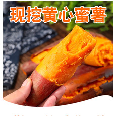 【10斤】沙地红薯新鲜蜜薯农家香甜薯板栗黄心地瓜糖心小番薯紫皮【徐闻美食】