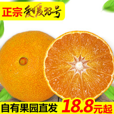 现摘爱媛38号果冻橙大果5斤水果8斤四川眉山手剥橙子新鲜当季柑橘水果